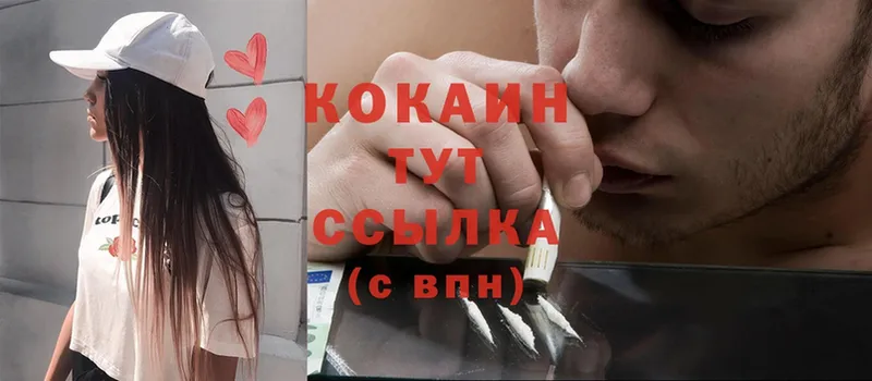 Cocaine FishScale  маркетплейс как зайти  Астрахань  наркошоп 